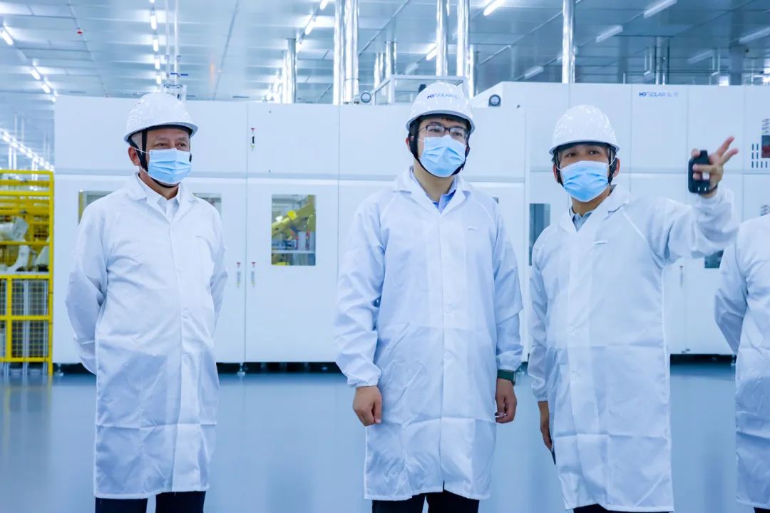 尊龙凯时绿能-双碳目的和能源革命的践行者
